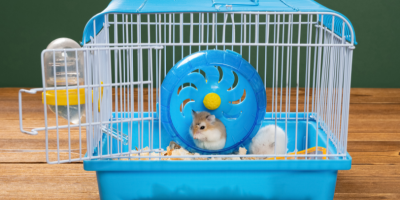 Тоалетни консумативи за гризачи