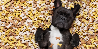 Лакомства за кучета