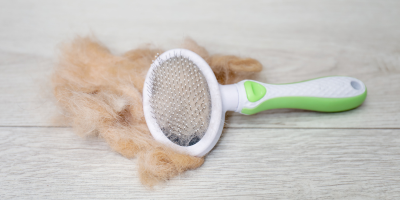 Четки за гризачи