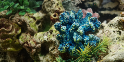 Аксесоари за аквариум