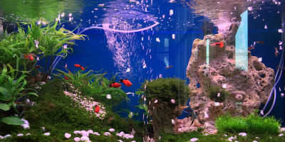 Филтри за аквариум