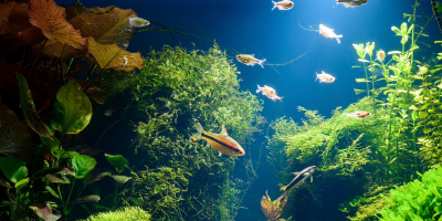 Осветление и отопление