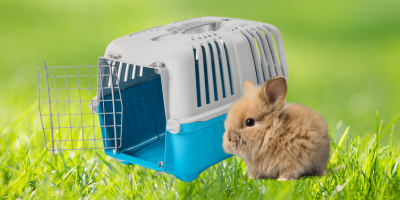 Транспорт за гризачи