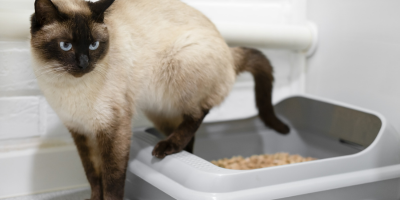 Тоалетни и консумативи