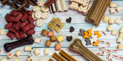 Храна за кучета