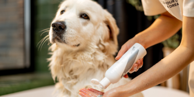 Шампоани, балсами и кремове