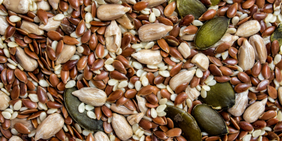 Лакомства за птици