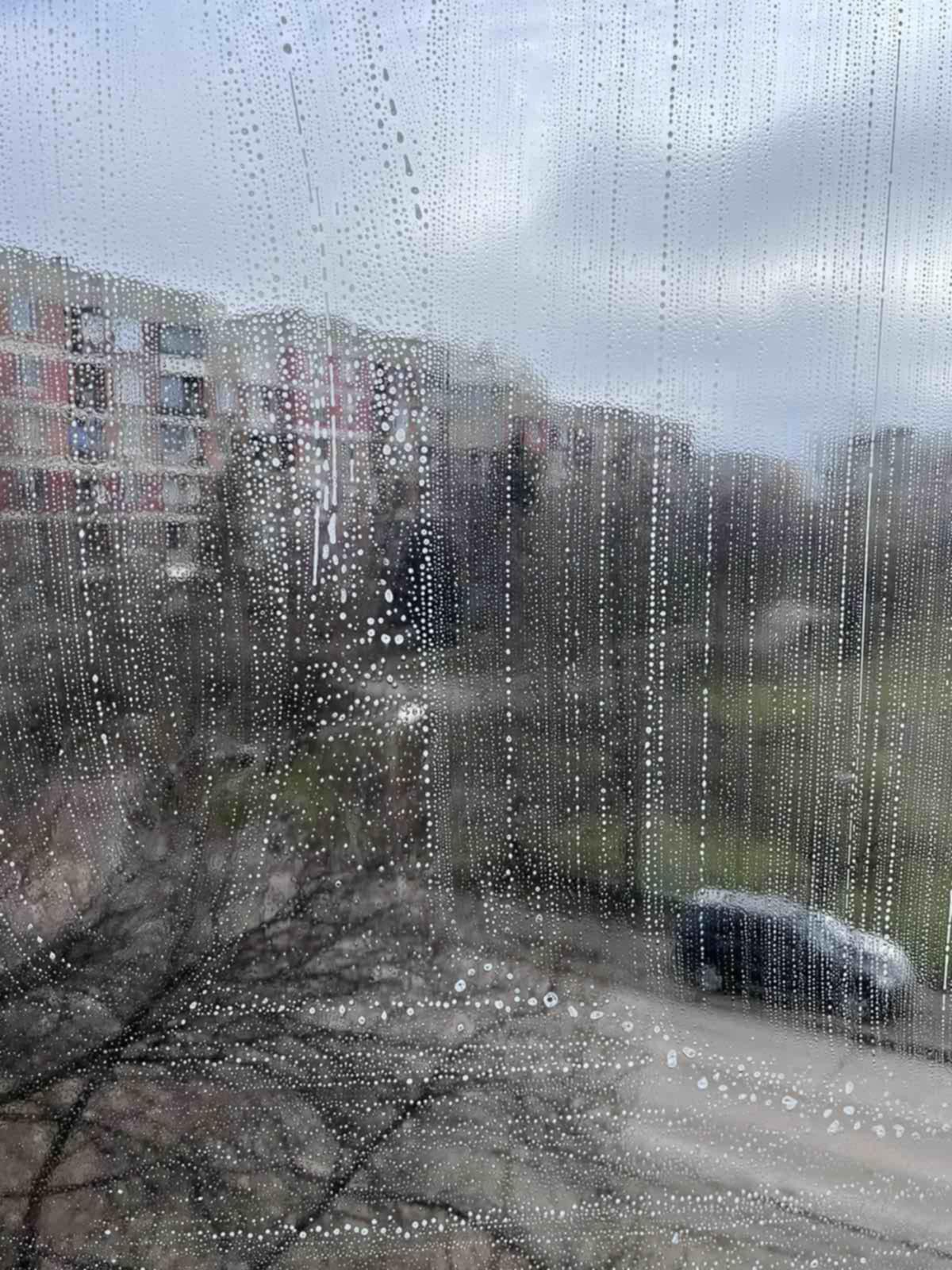 Почистване на витрини - снимка 4