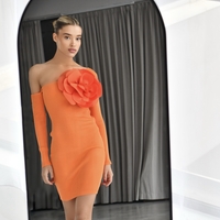 Fleur Extra Dress