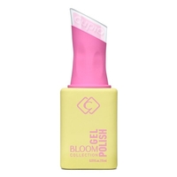 Bloom Collection - Cherry Blossomasdasdasdaadadadasdasda