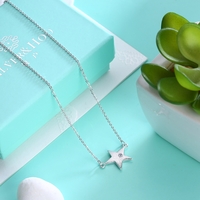 Сребърно колие звезда с циркон | колекция Delicate Silver