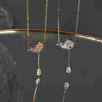 Сребърно колие Рибка Swarovski Crystals 2700000027813 | колекция Delicate Silver