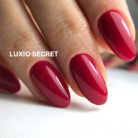 Гел лак Luxio Secret 193