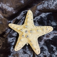 Бяла морска звезда