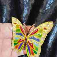 Пеперуда златиста