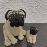 Мопс - 