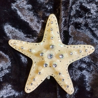 Бяла морска звезда