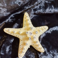 Бяла морска звезда