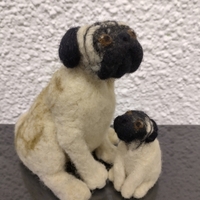Мопс - 