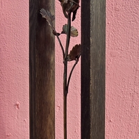 Метална роза в дървена рамка