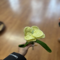 Ръчно плетена роза  – Детайлна изработка и наситени цветове