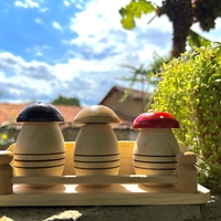 Солници Гъбки