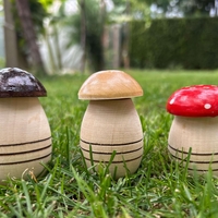 Солници Гъбки