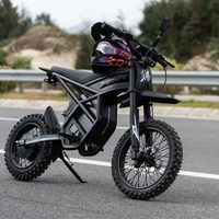 Riding Times GT54 PRO – Електрически кросов мотор 3000W | 60V 25Ah | 65 км/ч