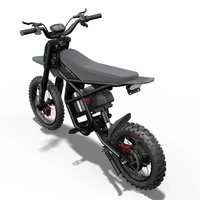 Riding Times GT54 PRO – Електрически кросов мотор 3000W | 60V 25Ah | 65 км/ч