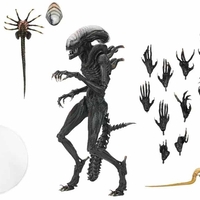 Alien Romulus - Scorched Xenomorph - Ultimate Колекционерска Фигурка