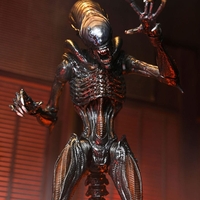Alien Romulus - Scorched Xenomorph - Ultimate Колекционерска Фигурка