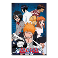 Bleach Голям Плакат - Characters