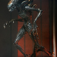 Alien Romulus - Scorched Xenomorph - Ultimate Колекционерска Фигурка