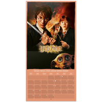 Harry Potter Календар 2024