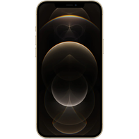 Смартфон Apple iPhone 12 Pro Max, 128GB, 5G, Gold