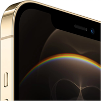 Смартфон Apple iPhone 12 Pro Max, 128GB, 5G, Gold