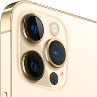Смартфон Apple iPhone 12 Pro Max, 128GB, 5G, Gold