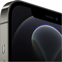 Смартфон Apple iPhone 12 Pro Max, 256GB, 5G, Graphite