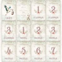 Baby Girl Milestone Cards - In Bulgarian