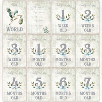 Baby Boy Milestone Cards - In English