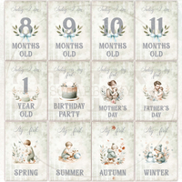 Baby Boy Milestone Cards - In English