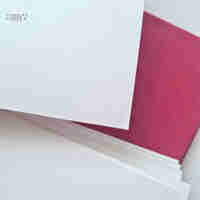 Blank Retro Album, raspberry