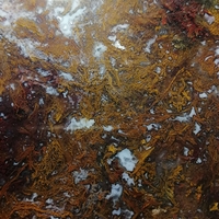 Български Ахат