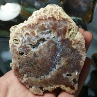 Български Коралит