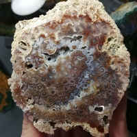 Български Коралит
