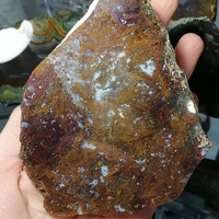 Български Ахат
