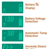 Смарт Импулсно Зарядно за Акумулатори 12v 6A