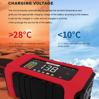 Смарт Импулсно Зарядно за Акумулатори 12v 6A