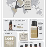 Етерично масло Копайба/Copaiba doTERRA 15 мл