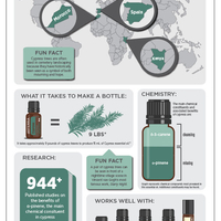 Етерично масло от Кипарис/Cypress doTERRA 15 мл